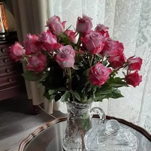 Meet your Posher, Colette